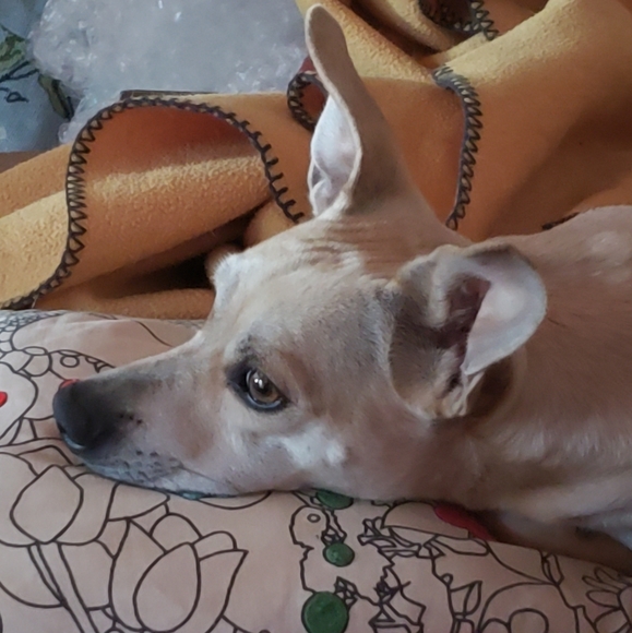 Thriftyminded's upcoming thoughtfully curated live shows - Picture 4 of 9